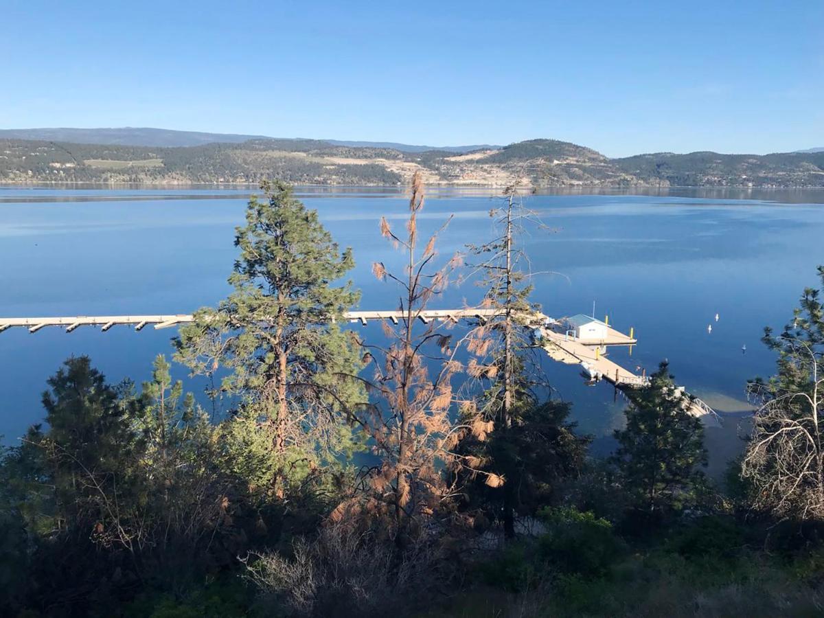 Cozystay Signature Lake Okanagan Resort Kelowna Ngoại thất bức ảnh